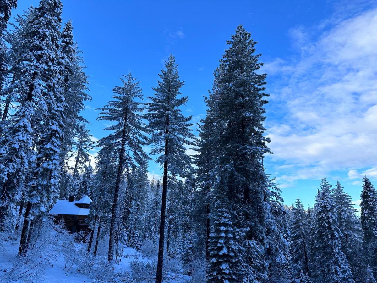 Yobee! Park Reservation Included! Heart Of Yosemite - Homey Studios And Breakfast Yosemite West Exterior photo